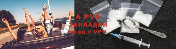 spice Арсеньев