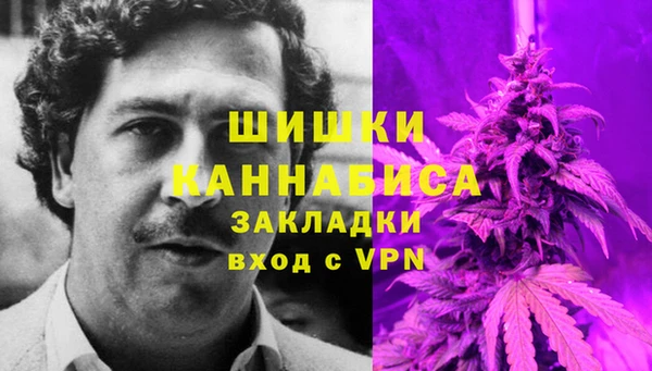 spice Арсеньев
